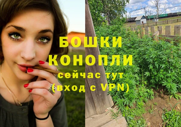 метадон Богданович