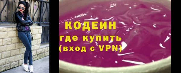 метадон Богданович