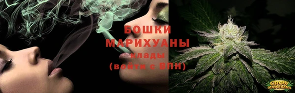 метадон Богданович