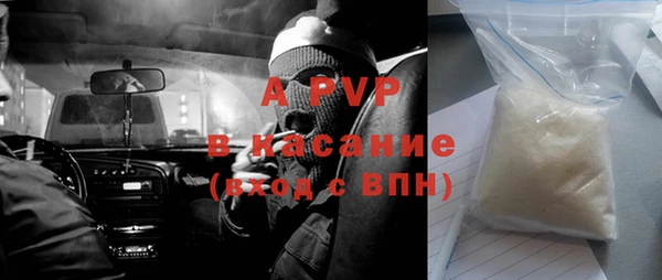 метадон Богданович