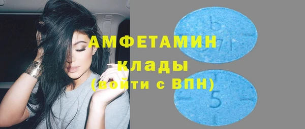 метадон Богданович
