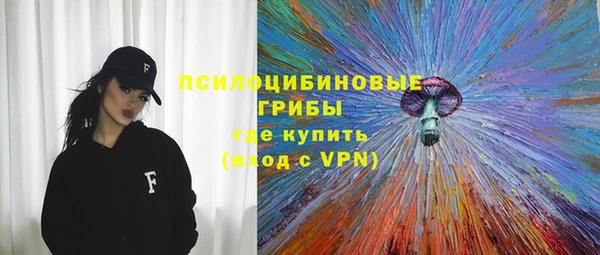 метадон Богданович