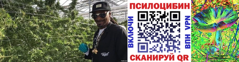 Галлюциногенные грибы MAGIC MUSHROOMS  цены наркотик  Кольчугино 