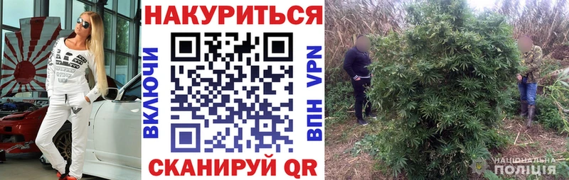 ссылка на мегу продажа наркотиков Кольчугино Шишки марихуана VHQ